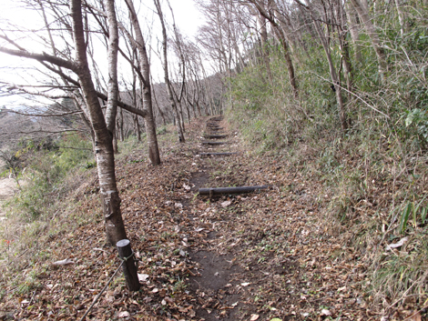 20161229hike (28)